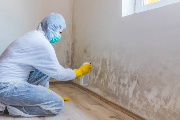 Hvac And Air Duct Mold Remediation inspection of HVAC system in Columbia